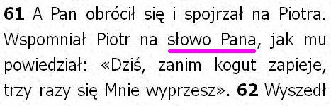 Pismo Święte Pallottinum