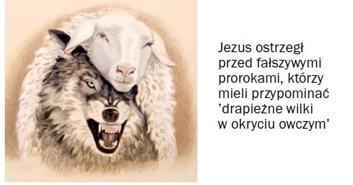 Strażnica 1 czerwca 2015