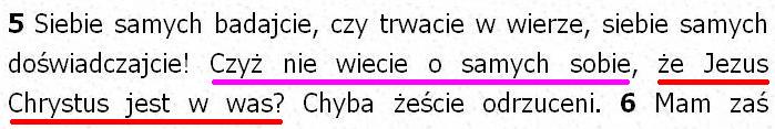 Biblia Tysiąclecia Pallottinum