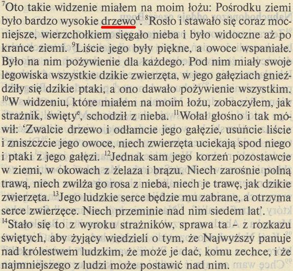 Pismo Święte Starego i Nowego Testamentu ed. św. Pawła
