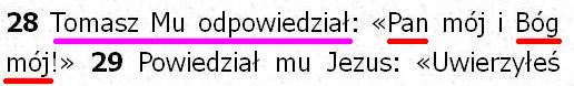 Biblia Tysiąclecia Pallottinum