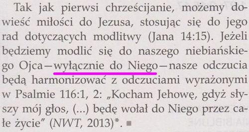 Strażnica 1 stycznia 2015