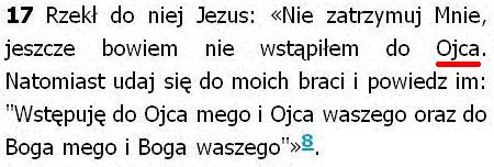 Biblia Tysiąclecia Pallottinum