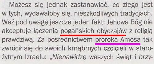 Strażnica 1 grudnia 2014 str.11