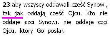 Biblia Tysiąclecia Pallottinum