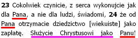 Biblia Tysiąclecia Pallottinum
