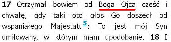 Biblia Tysiąclecia Pallottinum
