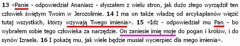 Biblia Tysiąclecia Pallottinum
