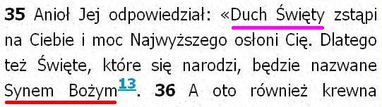 Biblia Tysiąclecia Pallottinum