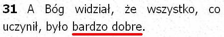 Biblia Tysiąclecia Pallottinum