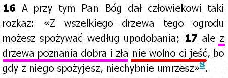 Biblia Tysiąclecia