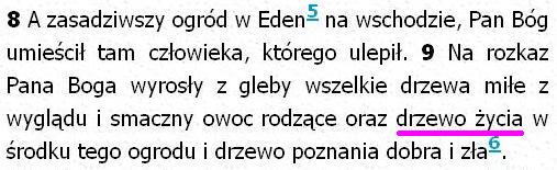 Biblia Tysiąclecia