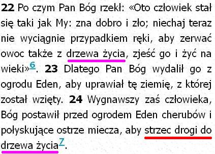 Biblia Tysiąclecia