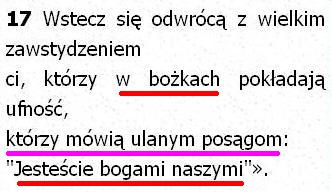 Biblia Tysiąclecia Pallottinum