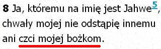 Biblia Tysiąclecia Pallottinum
