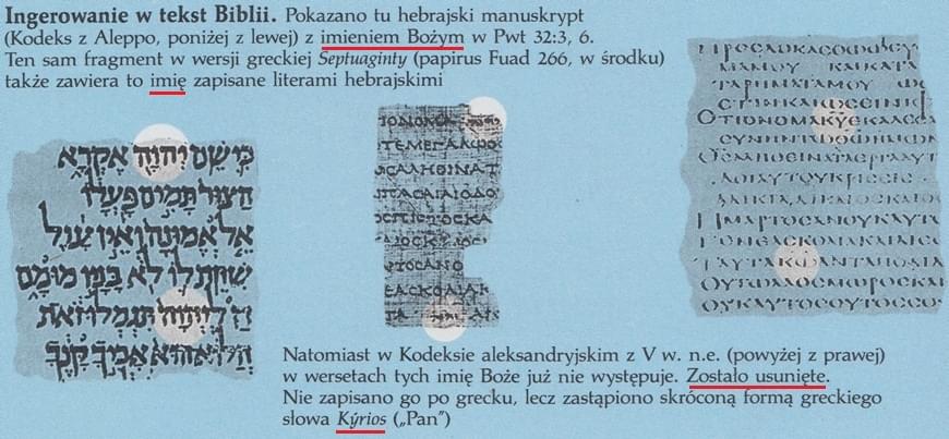 Wnikliwe poznawanie Pism tom.1