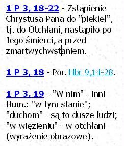 Biblia Tysiąclecia Pallottinum