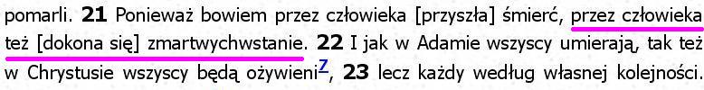Biblia Tysiąclecia Pallottinum