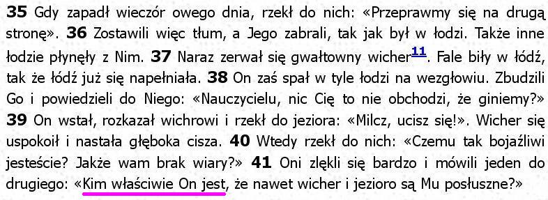 Biblia Tysiąclecia Pallottinum