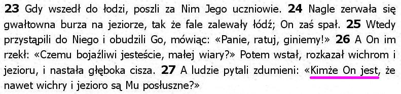 Biblia Tysiąclecia Pallottinum