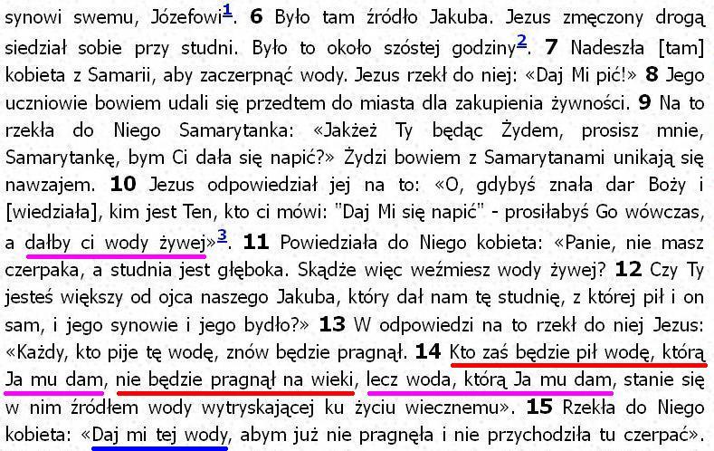 Biblia Tysiąclecia Pallottinum