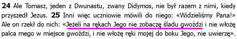 Biblia Tysiąclecia Pallottinum