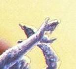 Strażnica 15 czerwca 1989