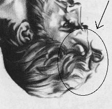 Będziesz mógł żyć wiecznie w raju na ziemi