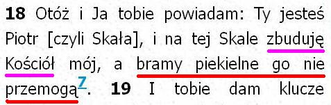 Biblia Tysiąclecia Pallottinum