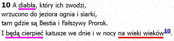 Biblia Tysiąclecia Pallottinum