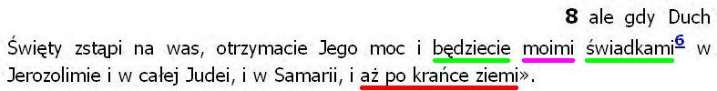 Biblia Tysiąclecia Pallottinum