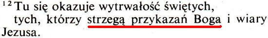 Biblia Tysiąclecia wyd.IV