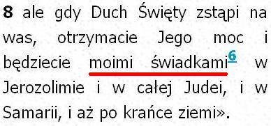 Biblia Tysiąclecia Pallottinum