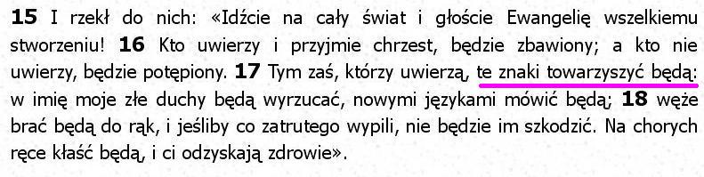 Biblia Tysiąclecia Pallottinum