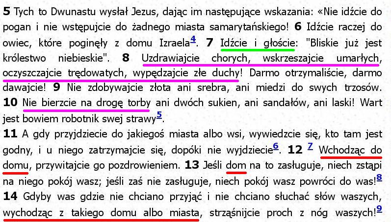 Biblia Tysiąclecia Pallottinum