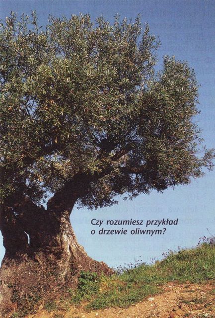 Strażnica 15 maja 2011