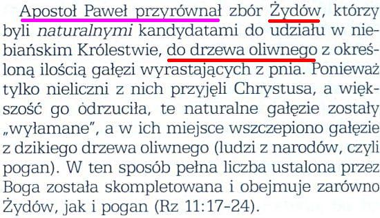 Wnikliwe poznawanie Pism
