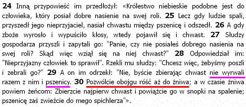 Biblia Tysiąclecia Pallottinum