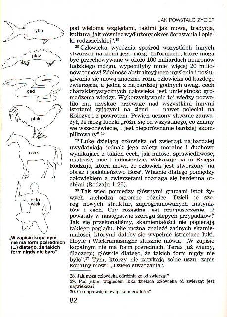 Jak powstaało życie