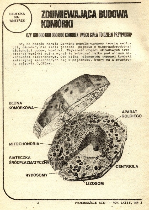 Przebudźcie się! Rok LXIII Nr 3