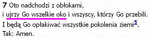 Biblia Tysiąclecia Pallottinum