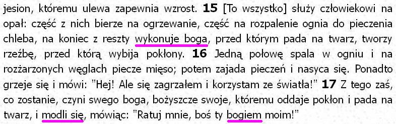 Biblia Tysiąclecia Pallottinum