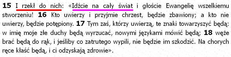 Biblia Tysiąclecia Pallottinum