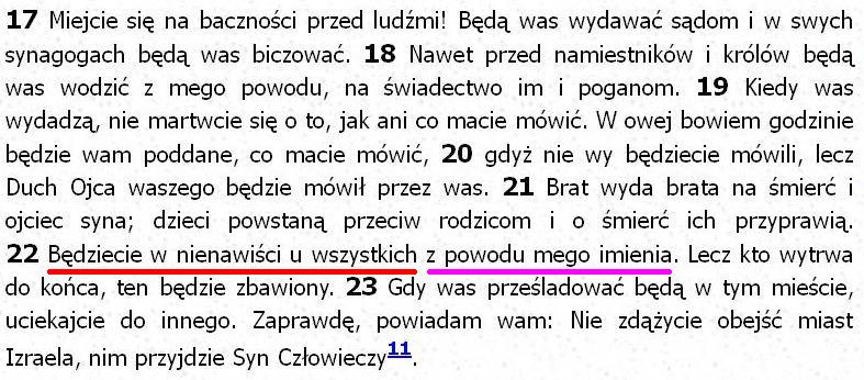 Biblia Tysiąclecia Pallottinum