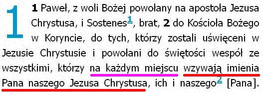 Pismo Święte Pallottinum