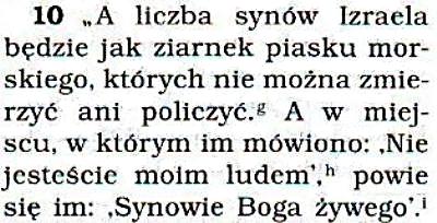 Przekład Nowego Świata