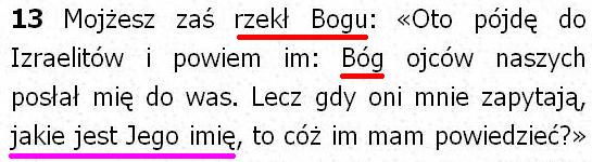 Pismo Święte Pallottinum