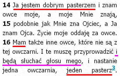 Biblia Tysiąclecia Pallottinum