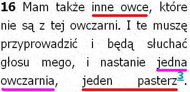 Biblia Tysiąclecia Pallottinum