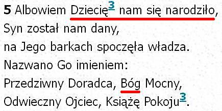 Biblia Tysiąclecia Pallottinum